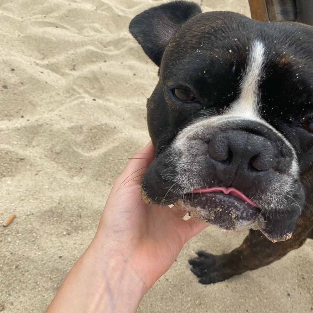 Meet your Posher, Sam